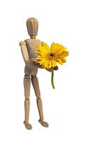 Houten pop met gerbera