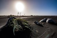 IJsland - strand bij Vestrahorn van Henk Verheyen thumbnail