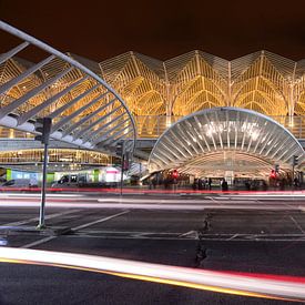 Station Oriente (Calatrava) van Jeroen Harmsen