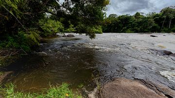 River near the island of Awarradam in Suriname by René Holtslag