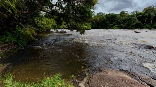 Rivier bij het eiland Awarradam in Suriname