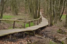 Loopbrug Springendal Tubbergen van Hans Oudshoorn