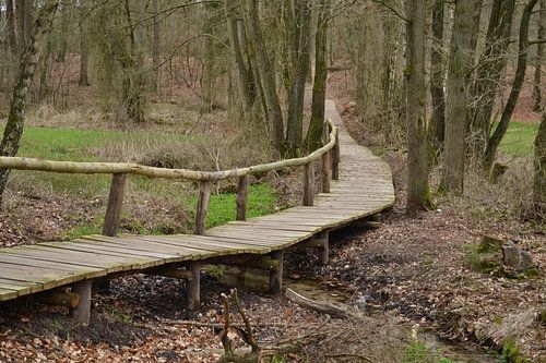 Loopbrug Springendal Tubbergen