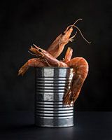 Canned shrimps