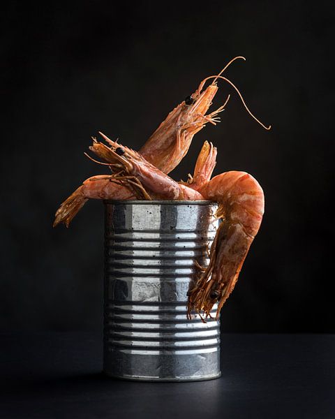 Canned shrimps by Anoeska Vermeij Fotografie