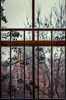 On a rainy day
