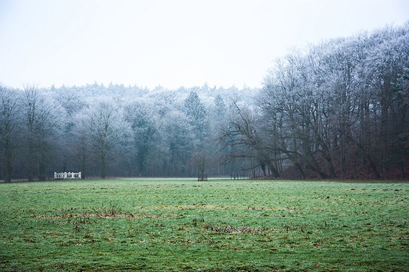 Rijp op de bomen van Michiel Boer
