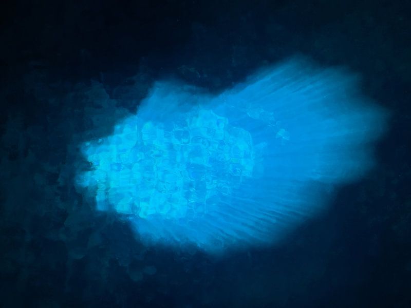 Blue eye by Bernardine de Laat