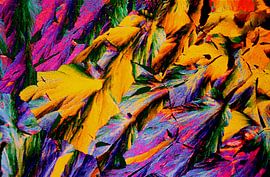 Indol by André Wieringa