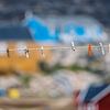 Waslijn met wasknijpers in Saqqaq, Groenland van Martijn Smeets