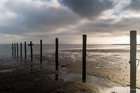 Maasvlakte