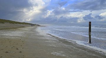 Strand van Texel van Jose Lok