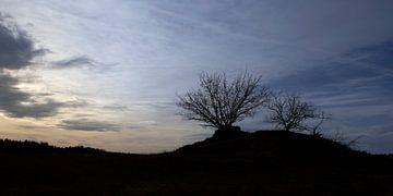 Silhouetten op Kootwijkerzand, Nederland van Imladris Images