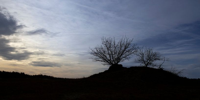 Silhouettes sur Kootwijkerzand, Pays-Bas par Imladris Images