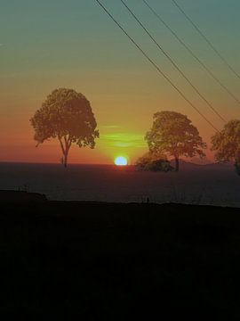 Sunset mit 2 Bäumen van Susanne Seidel