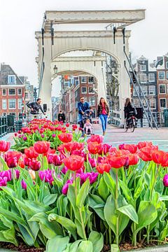 The Skinny Bridge with tulips by Hendrik-Jan Kornelis