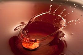 Splash! van Jan Pleiter