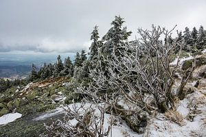 Landschaft mit Schnee auf dem Brocken im Harz von Rico Ködder