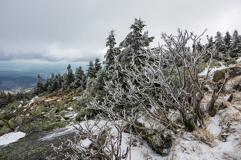 Landschaft mit Schnee auf dem Brocken im Harz van Rico Ködder