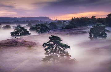 The blanket of fog by Loris Photography