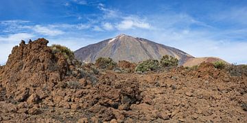 Lava landschap op Tenerife van Walter G. Allgöwer