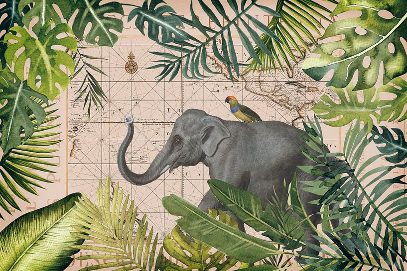 Exotische olifantenreis van Andrea Haase