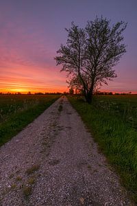 Der Weg zur Sonne