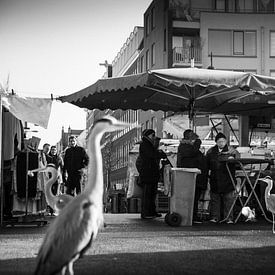 Dappermarkt Zwart-Wit van PIX URBAN PHOTOGRAPHY