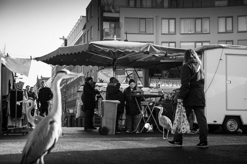 Dappermarkt Zwart-Wit van PIX STREET PHOTOGRAPHY