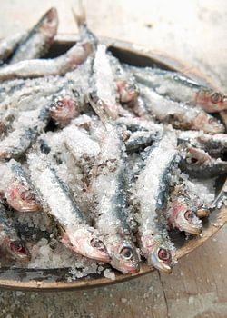 Sardines in sea salt