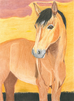 Pferd in der Abendsonne