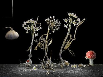 Magische voorstelling van voortplanting met Allium cassium van Bartel van den Berg