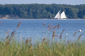 Traditional sailing ship on the Bay of Eckernförde