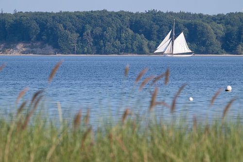 Traditioneel zeilschip in de baai van Eckernförde