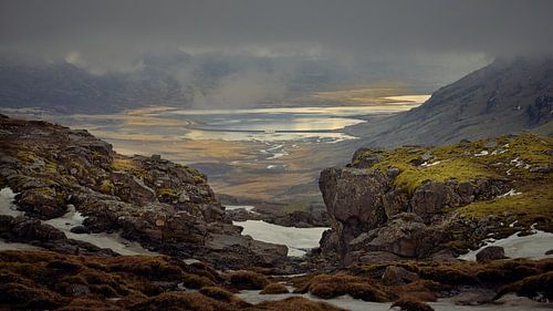 To the Fjord