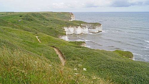 Flamborough Cliffs