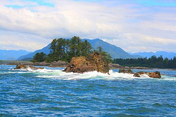 Dreamlike west coast of Vancouver Island by Thomas Zacharias