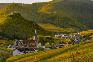 Vignobles en automne, Mayschoß, vallée de l'Ahr
