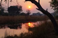 Zonsondergang in niemandsland van Erna Haarsma-Hoogterp thumbnail