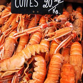 Langoustines van Nanette de Jong