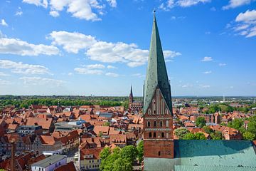 Uitzicht op Lüneburg van Gisela Scheffbuch