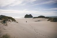 Cape Farwell: The Northern Tip of New Zealand by Ken Tempelers thumbnail