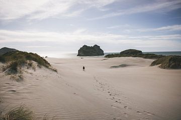 Cap Farwell : la pointe nord de la Nouvelle-Zélande sur Ken Tempelers