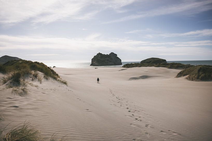 Cape Farwell: The Northern Tip of New Zealand by Ken Tempelers