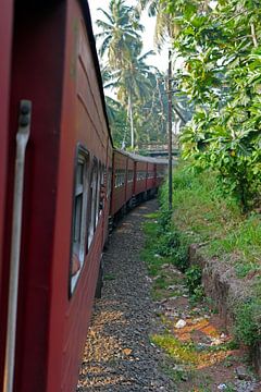 Train ride in Sri Lanka van Andrew Chang