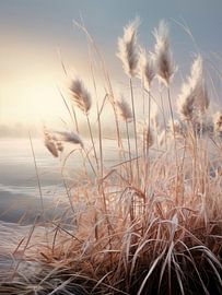 Pampas grass dune by Melanie Viola