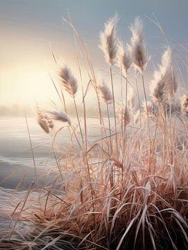 Herbe de la pampa Dune sur Melanie Viola