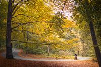 Cycliste solitaire sur la Posbank | Rheden | Pays-Bas | Automne