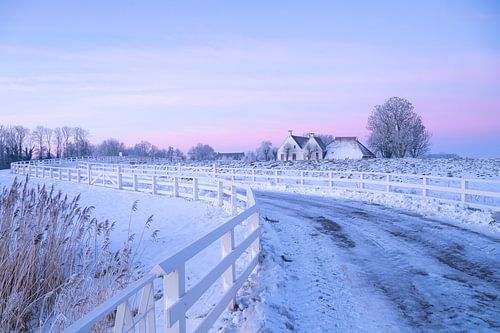 Weg door winters landschap bij Aduarderzijl