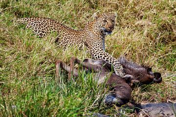 Luipaard doodt gnoe van Peter Michel